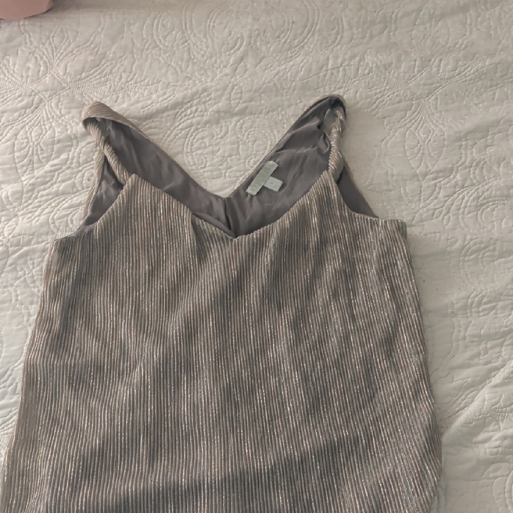 Ryegrass Silver Sleeveless Top